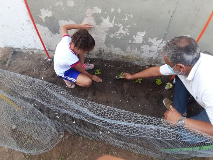 Horta orgânica da Emef Irmã Jacinta