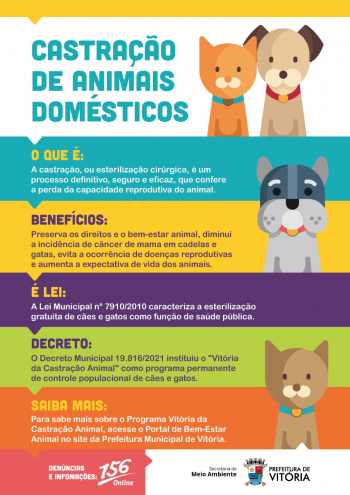 Campanha para castração animal