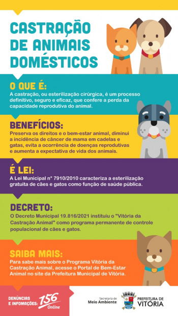 Campanha para castração animal