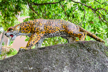 Inauguração do Parque Municipal Gruta da Onça