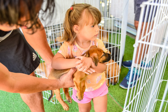 1º Evento SOS Pet Center de Adoção nos bairros de Vitória