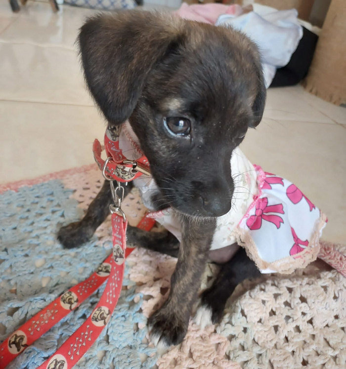 Eva, 3 meses.