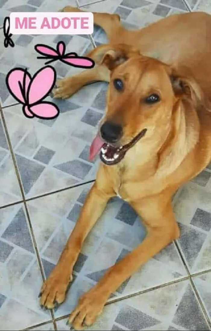 Duque, 8 meses.