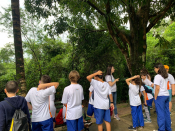 Crianças aprendem sobre o meio ambiente e cuidados com animais domésticos.