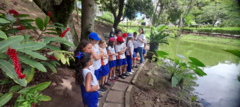 Crianças aprendem sobre o meio ambiente e cuidados com animais domésticos.