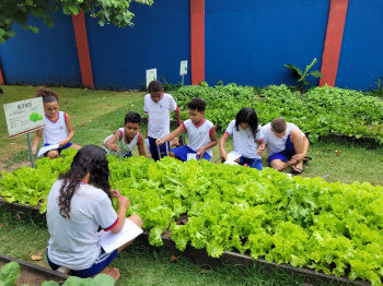 Horta escolar da Emef Rita de Cássia Oliveira