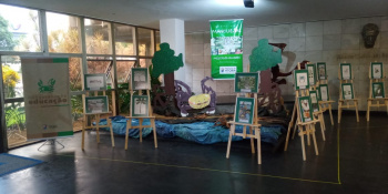 Exposição "Manguezal: Múltiplos Olhares" estará na Escola Juscelino Kubitschek