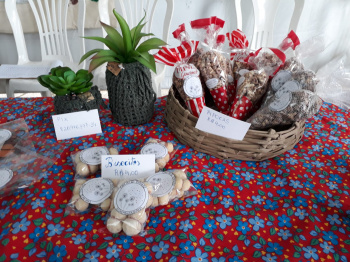 Vitória participa de Feira estadual sobre renda e saúde mental