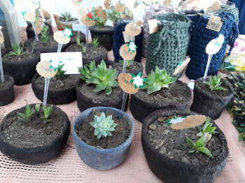 Vitória participa de Feira estadual sobre renda e saúde mental