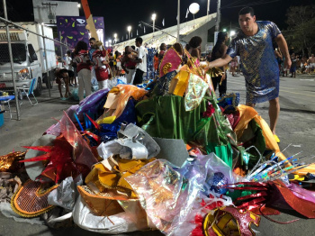 Foliões ecológicos no desfile de Vitória