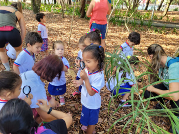 Centro de Educação Ambiental da Mata da Praia recebe formação de professores