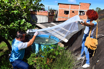 Mutirão contra a dengue na região de São Pedro