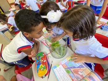 Estudantes do tempo integral observam metamorfose das borboletas