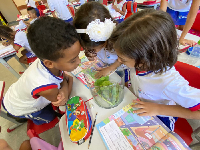 Estudantes do tempo integral observam metamorfose das borboletas