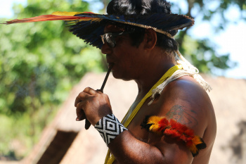 Aldeia Guarani