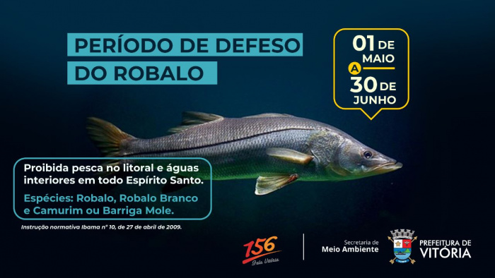 Período do defeso do robalo vai até o dia 30 de junho