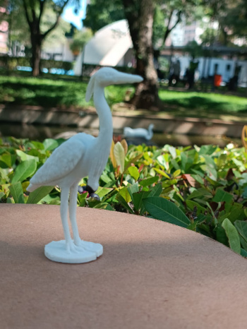 Parque Moscoso 3D