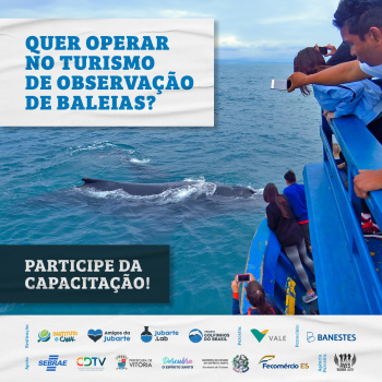 Capacitação para observação de baleias jubarte