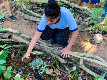 Passeio ecológico: estudantes aprendem sobre sustentabilidade em Fradinhos