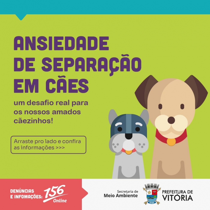 Mídias sociais: campanha alerta para síndrome ansiedade de separação em cães