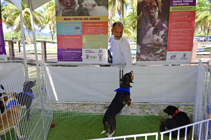 Evento de adoção de cães e gatos na Praia da Guarderia