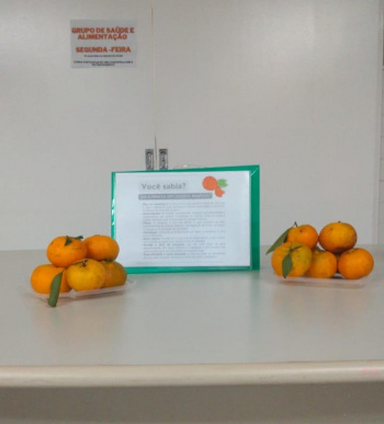 Grupo aprende sobre alimentação saudável na Unidade de Saúde de de Conquista