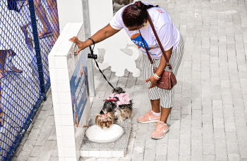 Entrega do Pet Park