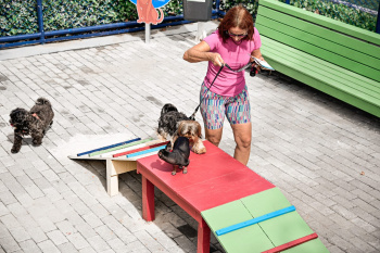 Entrega do Pet Park
