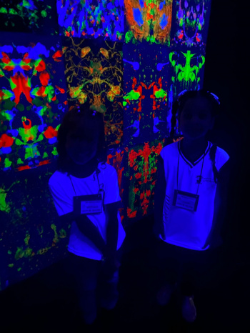 Fotografia Neon Cmei RR