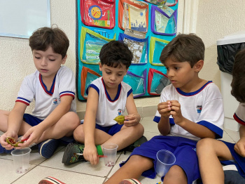 Brincando e aprendendo: crianças se divertem em projeto com atividades lúdicas