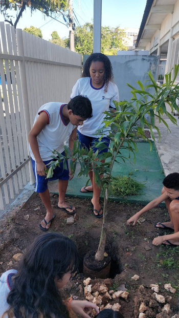 Escola mais viva e acolhedora: projeto de arborização cativa estudantes