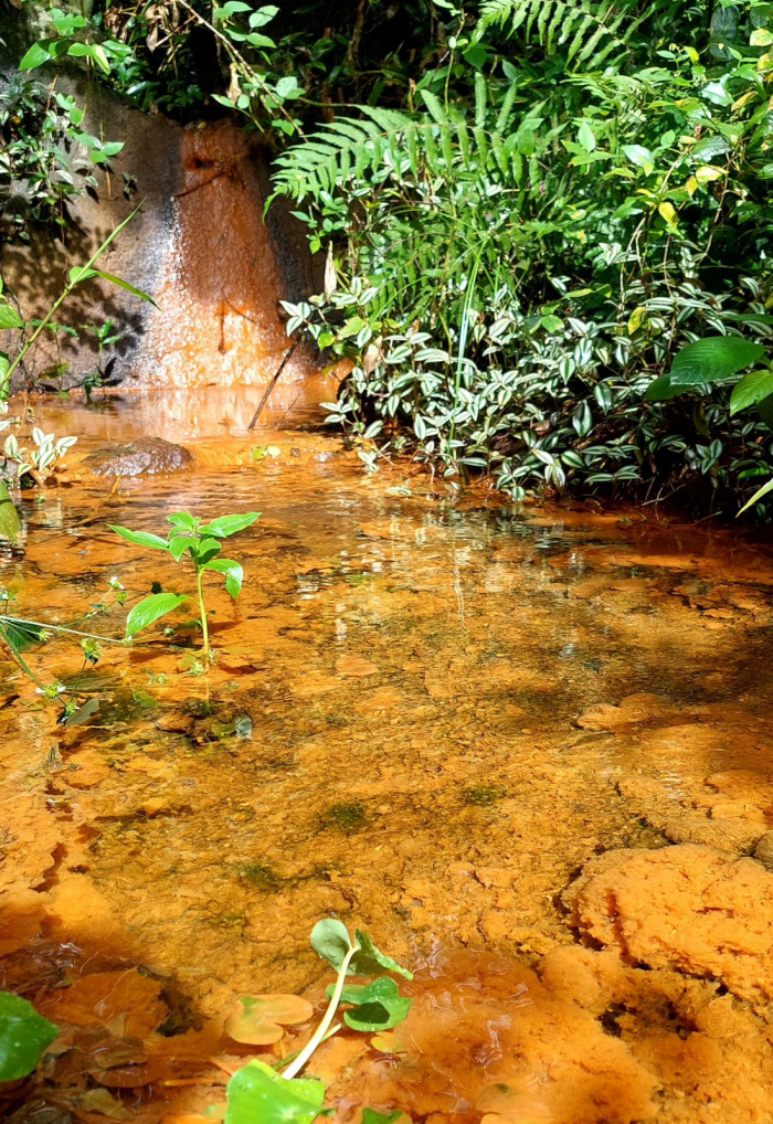 Prefeitura de Vitória vai mapear veios de água no subsolo do Maciço Central