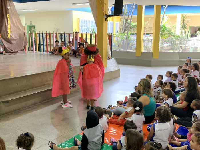 Cmei Darcy Castello de Mendonça