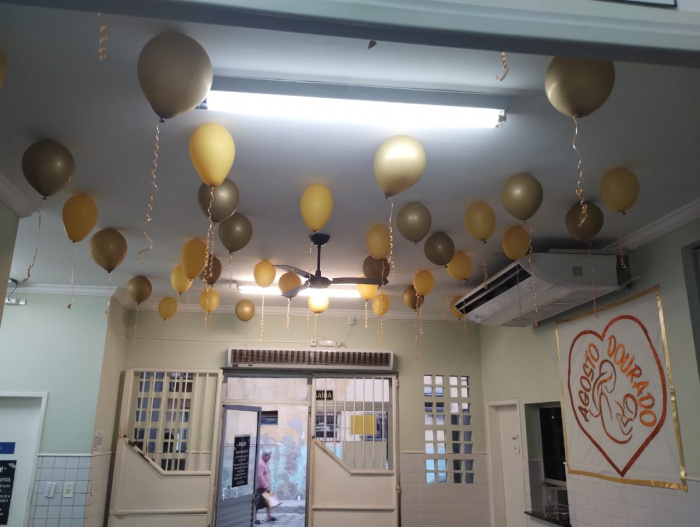 Ação sobre o agosto dourado na Unidade de Saúde de Itararé