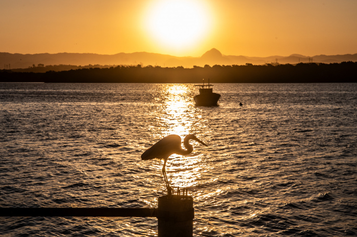 Ilha das Caieiras - Pôr do Sol