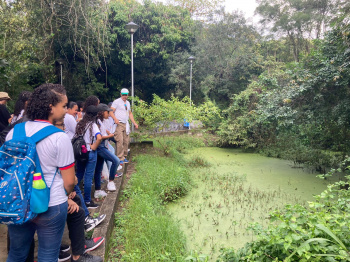 Trilhas educativas ensinam alunos sobre flora, fauna e importância da Mata Atlântica