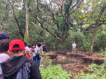 Trilhas educativas ensinam alunos sobre flora, fauna e importância da Mata Atlântica