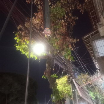 Homem furta 20 kg de fios e acaba preso pela Guarda Municipal de Vitória