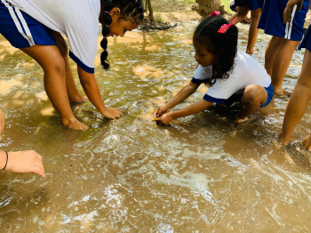 Visita pedagógica evidencia magia da arte e da natureza na educação