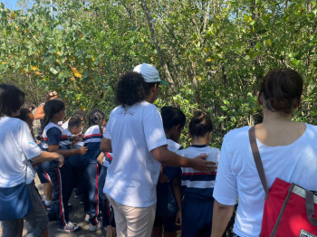 Estudantes aprendem sobre manguezal de Vitória