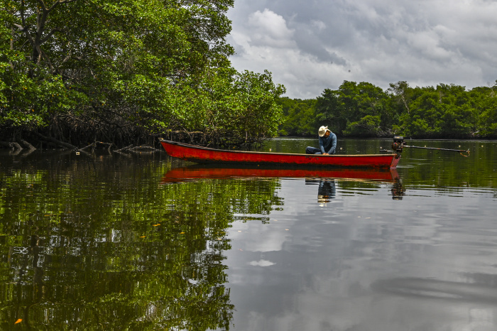 Mutirão de limpeza no manguezal de Maria Ortiz