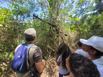 Guardiões Ambientais Mirins aprendem sobre observação de aves