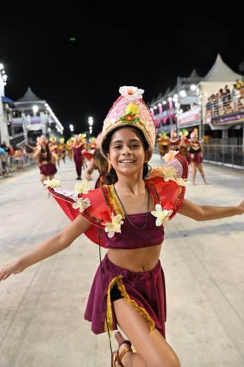 Carnaval: Rosas de Ouro desfila pelo grupo B
