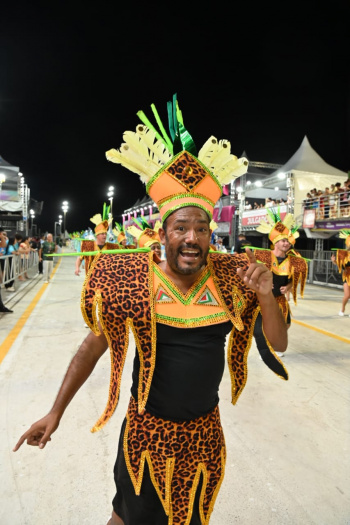 Carnaval: Rosas de Ouro desfila pelo grupo B