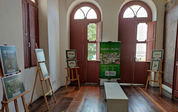 Exposição “Manguezal: Múltiplos Olhares” na Casa Porto das Artes Plásticas
