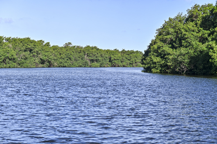 Manguezal da Baía de Vitória e Ilha do Lameirão