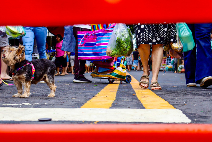 Exposição fotográfica na feira livre de Jardim da Penha