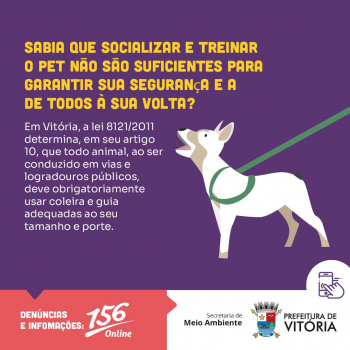 Campanha orienta sobre a importância de usar coleira e guia no passeio com pets