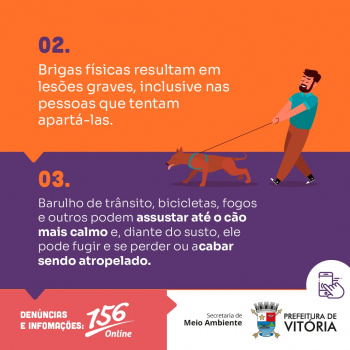 Campanha orienta sobre a importância de usar coleira e guia no passeio com pets