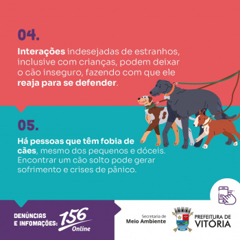 Campanha orienta sobre a importância de usar coleira e guia no passeio com pets